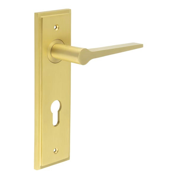 Burlington Knightbridge Door Handle Euro Backplate