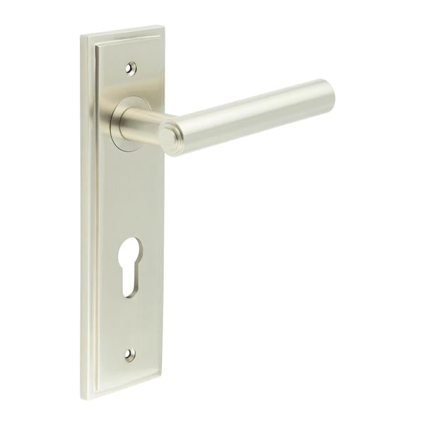 Burlington Richmond Door Handle Din Euro Backplate