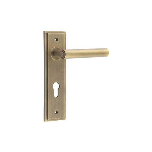 Burlington Richmond Door Handle Din Euro Backplate